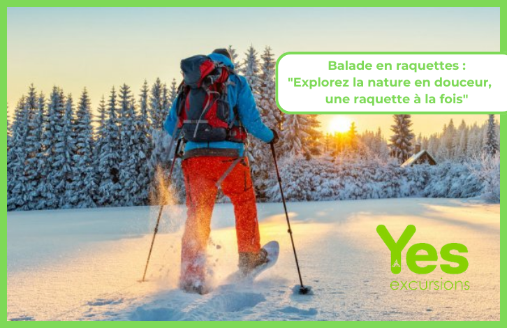 Ballade en raquettes